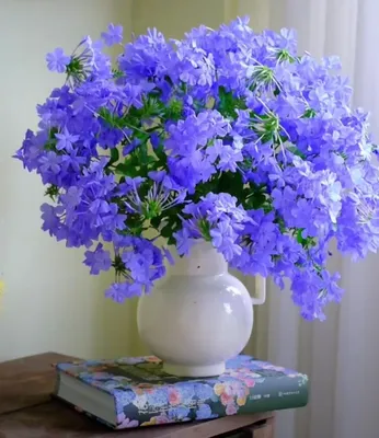 Коллекция Lancom- яркие, нежные цветы. Обои виниловые горячего тиснения на  флизелиновой основе 1,06*10,05м #обои #обоидлястен… | Instagram