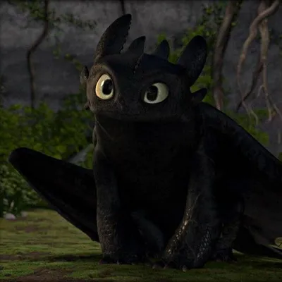 Pin by Liza Gladun on Дневная и ночная фурия | How train your dragon, How  to train dragon, How to train your dragon