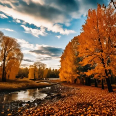 Гидрометцентр: ноябрь в большинстве регионов России будет теплым | Природа  | Общество | Аргументы и Факты