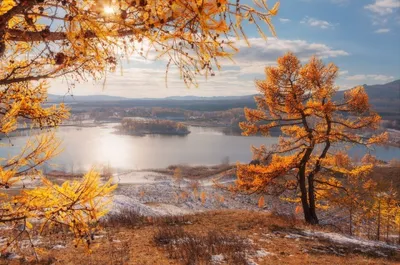 Природа в ноябре :: Милешкин Владимир Алексеевич – Социальная сеть ФотоКто