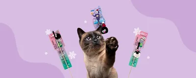Новогодние коты от Ponds за 04 декабря 2017 на Fishki.net