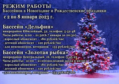 2024 Рождественские обои для iPhone 6/7/8/SE/X/XS/XR/11/12/13