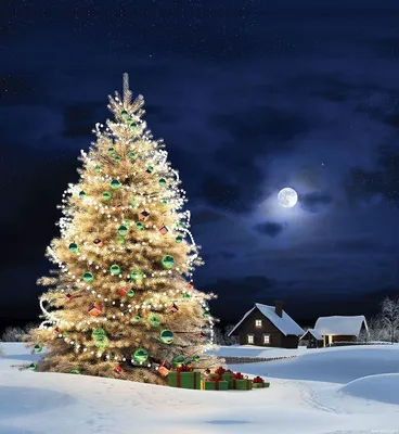 Новый_год, #Луна, #Елки, #аватары, #картинки, #фото, #авы,  https://avatarko.ru/kartinka/6012 | Рождество на улице, Рождественские  картинки, Рождественская елка