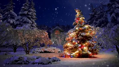 Рождество Новый Год Или Зимний Фон — стоковая векторная графика и другие  изображения на тему Фоновые изображения - Фоновые изображения, Январь, Зима  - iStock