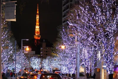 Бамбуковое дерево и почтовые открытки: как отмечают Новый год в Японии?