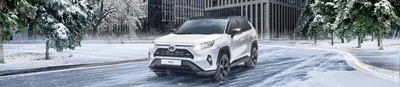 Новый авто Тойота РАВ4 2024 в автосалоне Алматы