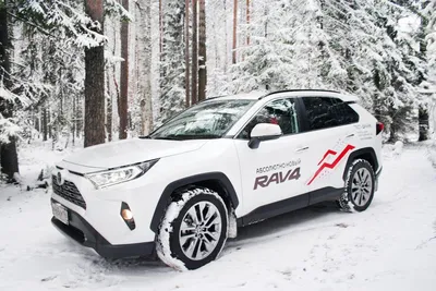Новая Toyota RAV4 в России: комплектации и цены — Авторевю