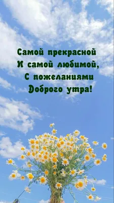 Купить Букет цветов \"Самой любимой\" №165 в Москве | Заказать Букет цветов  \"Самой любимой\" №165 недорого с доставкой