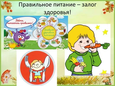 Здоровый образ жизни — МБДОУ детский сад №125