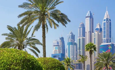 Когда лучше ехать в ОАЭ? ☀️ Лучший сезон для отдыха в ОАЭ 2024