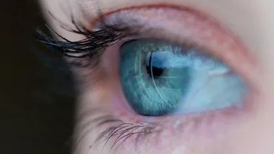 Голографическое моделирование глазного яблока DIY Глаза Искусственные рыбьи  глаза 3D Рыбьи глаза Рыболовные приманки Глаза – лучшие товары в  онлайн-магазине Джум Гик