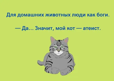 Самые смешные и позитивные животные: лучшие фото конкурса — Российское фото
