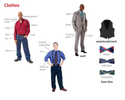 Types of Clothing: Useful List of Clothing Names with the Picture - ESL  Forums | Types of clothing styles, Types of fashion styles, English clothes