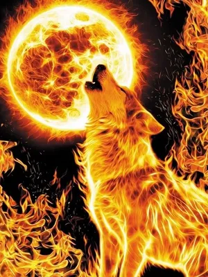 Алмазная мозаика Огненный волк под горящей луной 40x50 Две картинки  72703231 купить в интернет-магазине Wildberries