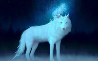 Огненный волк вместе ледяным волком…» — создано в Шедевруме