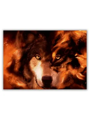 Огненный Волк — стоковая векторная графика и другие изображения на тему Волк  - Волк, Иконка, Голова - iStock