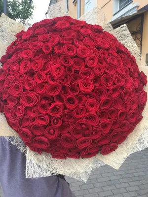 Огромный букет роз, артикул F21995 - 62005 рублей, доставка по городу.  Flawery - доставка цветов в Москве