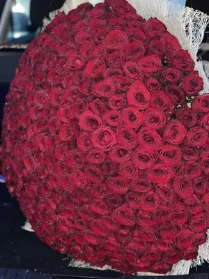 Огромный букет красных роз, артикул F1084395 - 230303 рублей, доставка по  городу. Flawery - доставка цветов в Москве