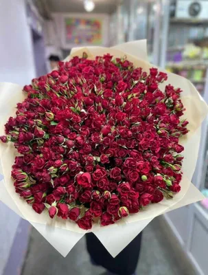огромный букет из розовых роз | Розовые розы, Букет из розовых роз, Розы