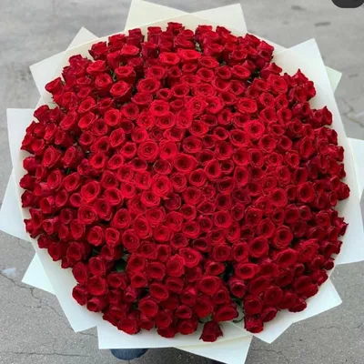 Красивый букет роз: торжественнее подарка не придумать! - Flowers.ua