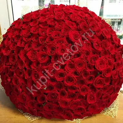 Огромный букет роз купить в Санкт-Петербурге в салоне цветов Флордель