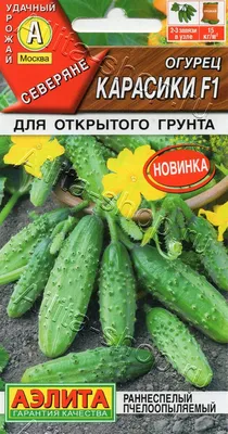 Огурец \"Русский огород\" Приятель F1 8шт купить семена по низким ценам |  Семь Семян