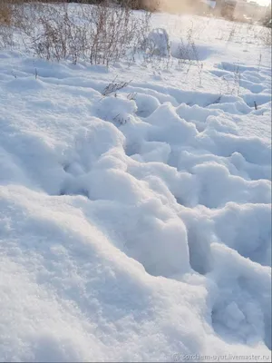 видео опять снега навалило｜Поиск в TikTok