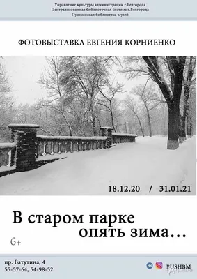 Воскресенье, 5 марта: снег, опять снег / Статья