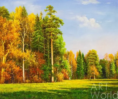 Картина Картина маслом \"Осенний лес в лучах солнца\" 50x60 AR190706 купить в  Москве