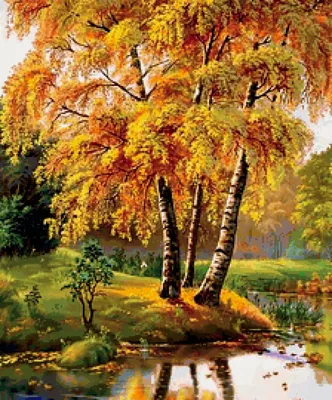 Осенью лес особенно прекрасен