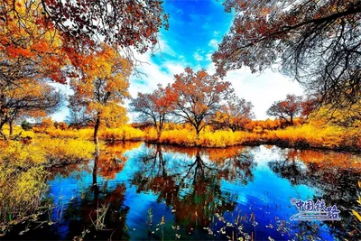 Фотографии Осень Природа Леса Небо Пейзаж Реки дерево сезон года