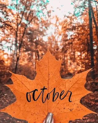 Autumn October Осень Октябрь Инстаграм идеи для фото | Осенние картинки,  Осенние изображения, Осенние фотографии
