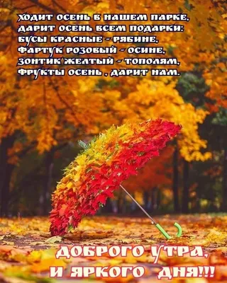 Бесплатное изображение: Октябрь, осенний сезон, желтоватый, прут, желтовато  коричневый, Желтые листья, дерево, желтый, лист, осень