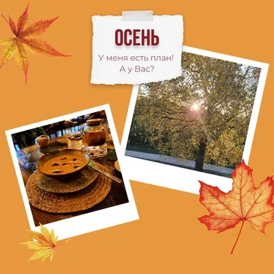 Осенние фото Ступино — яркие и красивые снимки