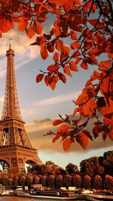 Eiffel tower in autumn france paris - Tap to see more of the most romantic  Paris city wallpapers! - @mobil… | Paris wallpaper, Paris wallpaper iphone,  Eiffel tower