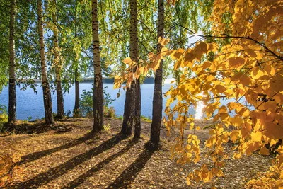 Краски ранней осени . Сентябрь . :: Мила Бовкун – Социальная сеть ФотоКто
