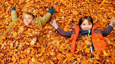 Осенние каникулы для детей 6 - 11 лет. Смена \"Художественная\" в Хабаровске  13 октября 2023 в Одуванчики