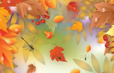 Мастер-класс «Осенние листья» для детей по рисованию в технике «клеевой  витраж» (20 фото). Воспитателям детских садов, школьным учителям и  педагогам - Маам.ру