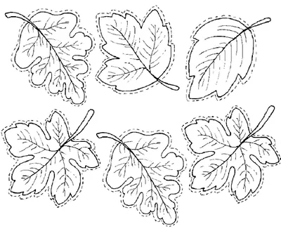 Осенний листок раскраска - 64 фото