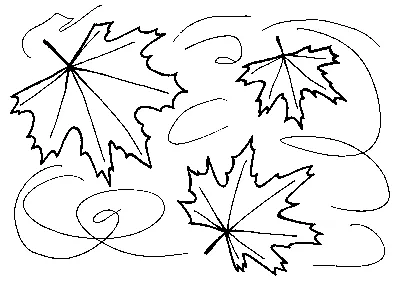 Чернобелые Осенние Падающие Листья И Ягоды — стоковая векторная графика и  другие изображения на тему Кленовый лист - Кленовый лист, Осень, Лист -  iStock