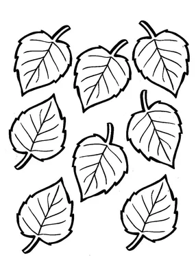 Листья для срисовки легко учатся (38 шт)