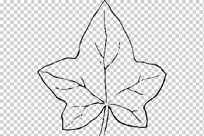 Черно-белые осенние листья падают, монохромно-прозрачные узоры, векторы  Иллюстрация вектора - иллюстрации насчитывающей украшение, самомоднейше:  157740735