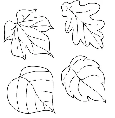Раскраска Осенние листья | Hojas para colorear, Hojas para imprimir,  Plantillas para flores de papel