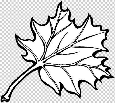 Черно белые резные линии листья растений PNG , Черное и белое, Стиль  гравировки, Листья PNG картинки и пнг PSD рисунок для бесплатной загрузки