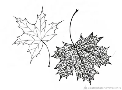 Вырубка Клёновые осенние листья для поделки ЯмоднаЯ 146280943 купить за 302  ₽ в интернет-магазине Wildberries