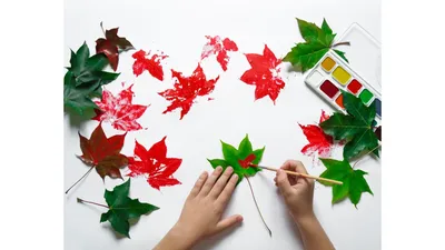Осенние листья для декора оформление к 1 сентября Декаон 114794001 купить  за 290 ₽ в интернет-магазине Wildberries