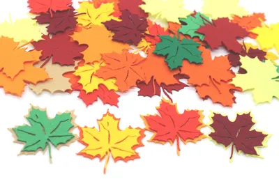 Красивые осенние листья деревьев - 69 фото