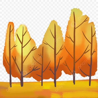 картинки : пейзаж, дерево, природа, поле, луг, прерия, Окунь, Осень,  внутренний дворик, время года, Дикий цветок, Деревьями, Осеннее настроение,  Кустарник, Лесистая местность, естественная среда, Осенняя листва, Осенний  лес, Экосистемный, осенние ...