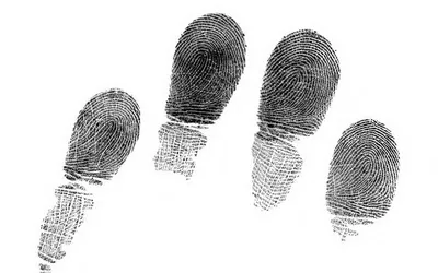 отпечаток пальца в форме сердца PNG , текстура отпечатков пальцев, линии  пальцев, отпечатки пальцев PNG картинки и пнг рисунок для бесплатной  загрузки