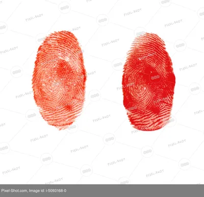 Ученые поставили под сомнение уникальность отпечатков пальцев | СП -  Новости Бельцы Молдова